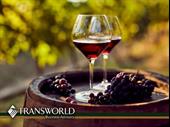 established liquor store for