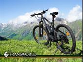 successful e-bike store operating