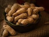 well-established snack distribution business