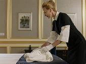 luxury cleaning franchise for
