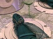 established wedding event rental