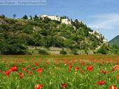 campsite albi for sale