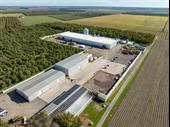 walnut processing facility orchard