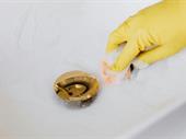franchise residential cleaning services