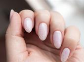 turnkey beauty studio prime