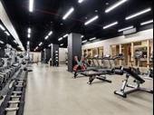 established fitness franchise santa