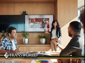 established profitable digital advertising