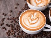 multi-location coffee café roastery
