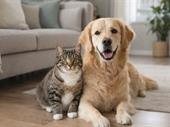 relocatable pet products recurring