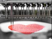 established embroidery print business