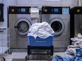 established laundry business garden