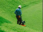 semi absentee established lawn