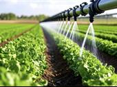 established irrigation pumping business