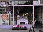established florist doncaster east