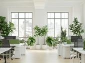 50 year established plantscape