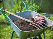 landscaping maintenance business for