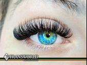 established eyelash studio 20+