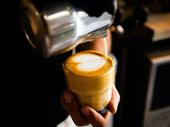 well established specialty coffee