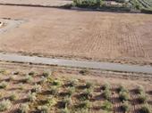1-hectare land authorized project