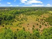 plot of land loris
