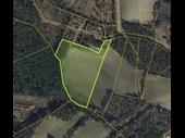 plot of land loris