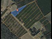plot of land nichols