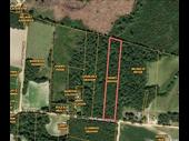 plot of land galivants