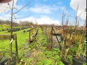 relocatable tree nursery business