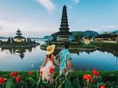 travel agency search engine