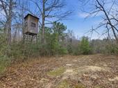 77 acre ranch land