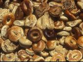 reduced price bagel store