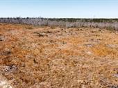 plot of land available