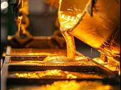 fully licensed operational gold