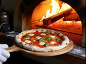 profitable mobile pizza business
