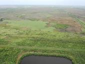 plot of land available