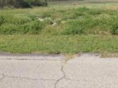 plot of land available