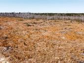 plot of land available