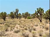plot of land available