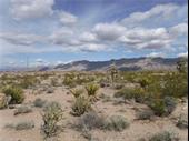 plot of land available