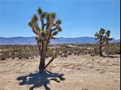 plot of land available