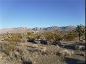 plot of land available
