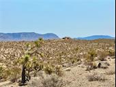 plot of land available