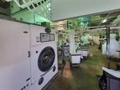 dry cleaner business