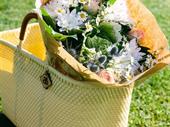 wholesale flowers to retail