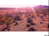 plot of land available