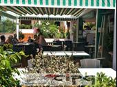 pool bar los cristianos
