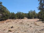 plot of land available