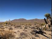 plot of land available