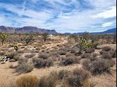 plot of land available