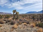 plot of land available